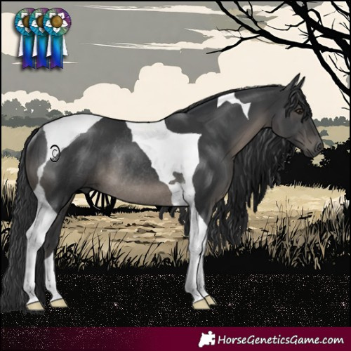 Horse Color:Black Tobiano Rabicano 
