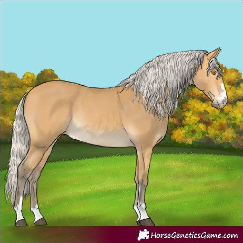 Horse Color:Silver Buckskin Rabicano