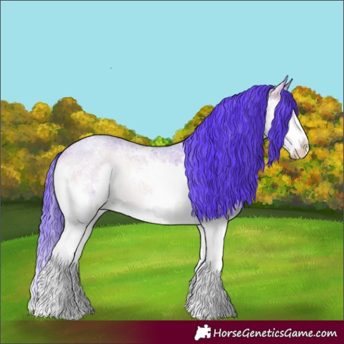 Horse Color:Watercolor Chocolate Brown Ice Roan Onyx Sabino Splash