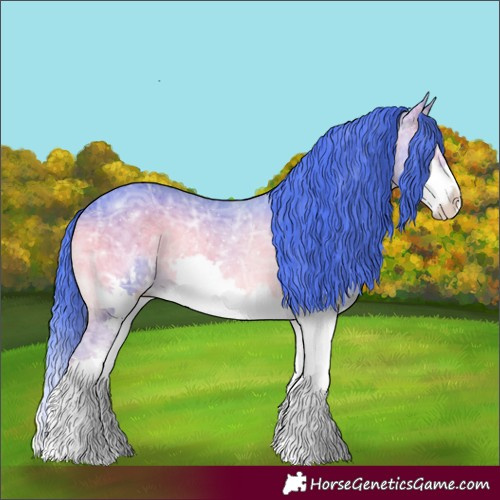 Horse Color:Watercolor Blue Onyx Ice Sabino Splash 