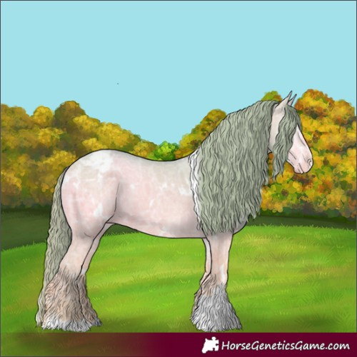 Horse Color:Watercolor White Spotted Sable Cream Champagne Ice Onyx Sabino Appaloosa