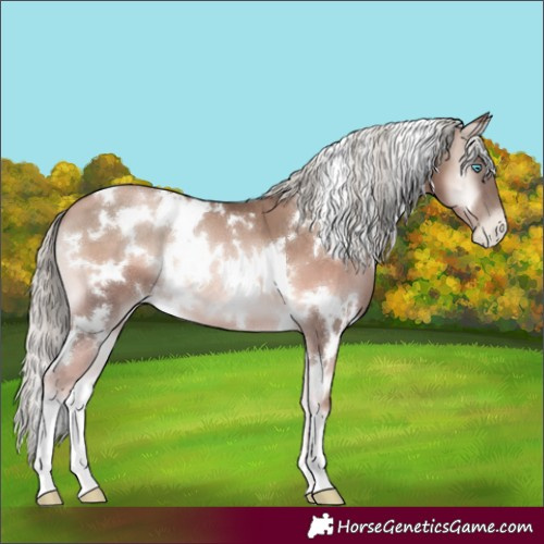 Horse Color:White Spotted Chocolate Palomino Pearl Onyx 