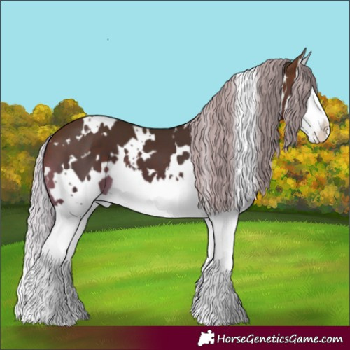 Horse Color:White Spotted Silver Brown Splash 