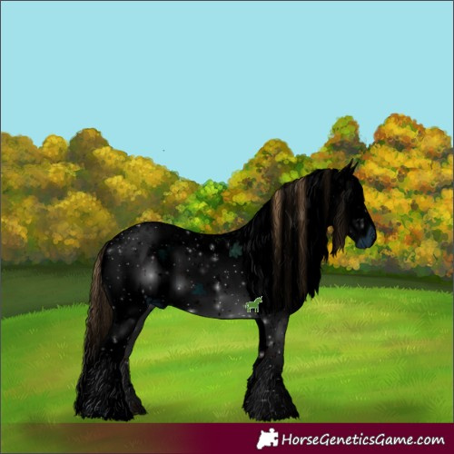 Horse Color:ERROR: UNKNOWN ANOMALY