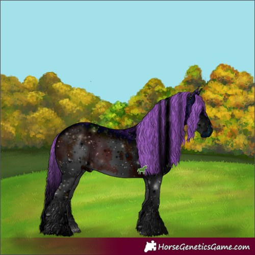 Horse Color:ERROR: UNKNOWN ANOMALY