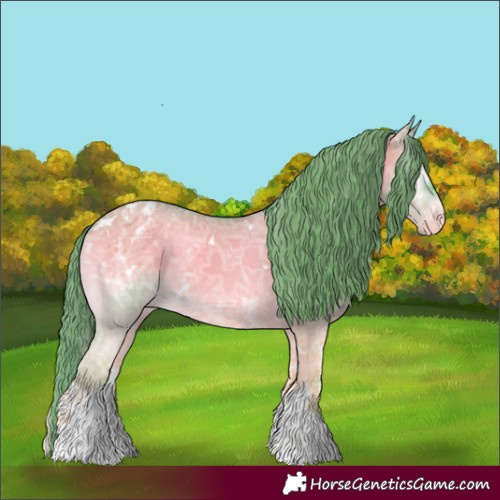 Horse Color:Watercolor White Spotted Smoky Grullo Ice Onyx Appaloosa 