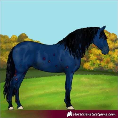 Horse Color:ERROR: UNKNOWN ANOMALY