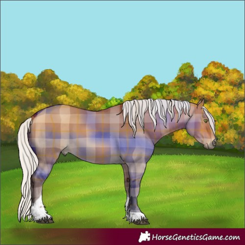 Horse Color:Plaid  Silver Bay Dun Tobiano 