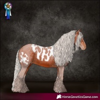 Horse Color:White Spotted Silver Bay Skewed LP Spotted