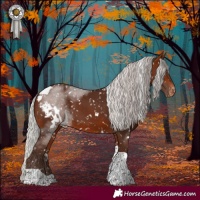 Horse Color:White Spotted Silver Brown Tobiano Skewed Appaloosa