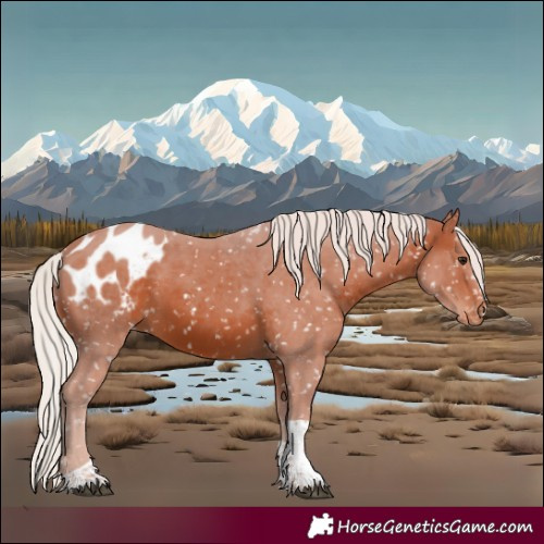 Horse Color:Silver Brown Tobiano Blanket