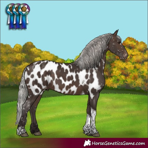 Horse Color:Silver Brown Tobiano Near Leopard 