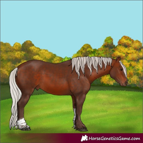 Horse Color:Silver Bay Tobiano 
