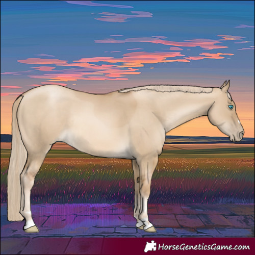 Horse Color:Chocolate Palomino Pearl Dun Rabicano