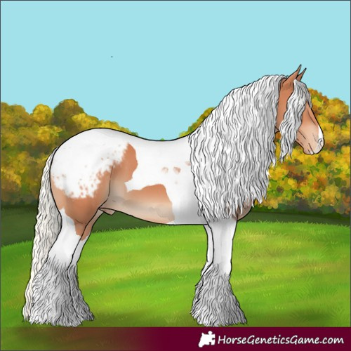 Horse Color:Silver Bay Tobiano Appaloosa 