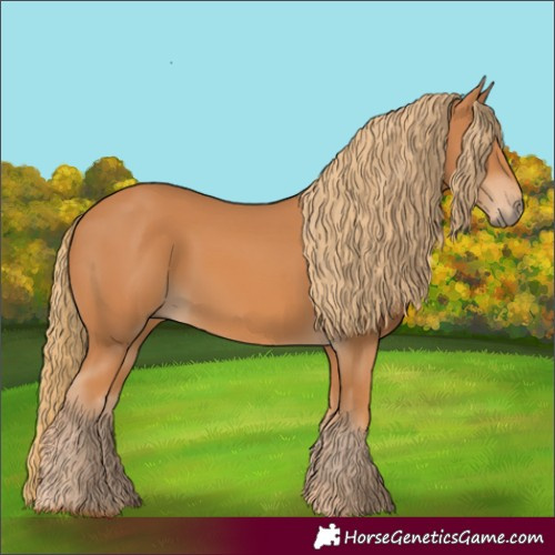 Horse Color:Chestnut 