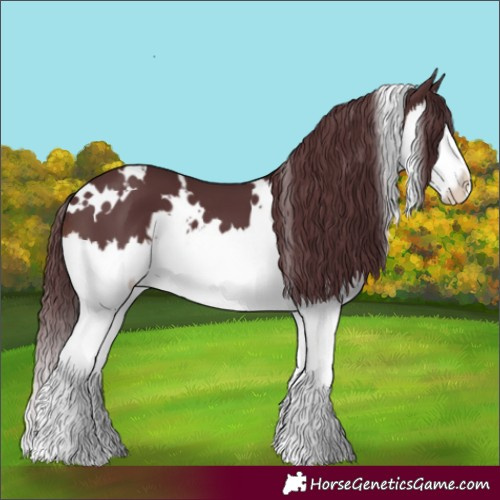 Horse Color:White Spotted Chocolate Brown Splash 
