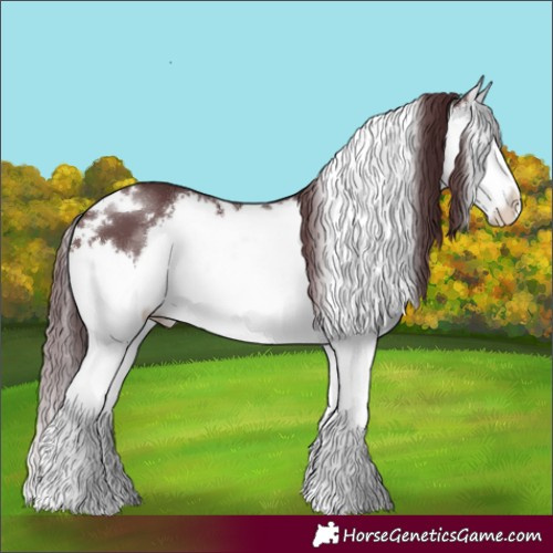 Horse Color:White Spotted Chocolate Brown Splash