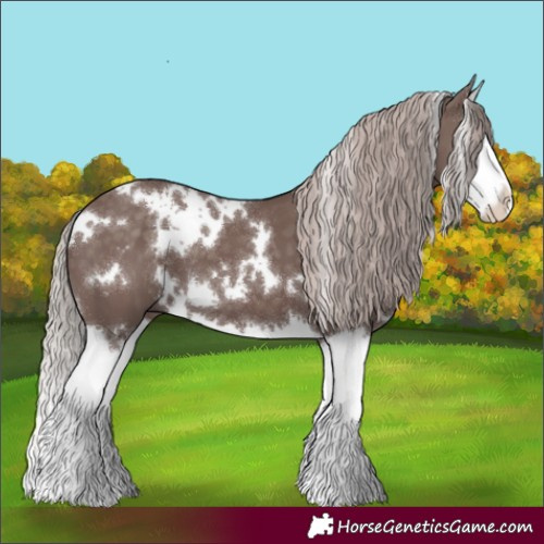 Horse Color:White Spotted Chocolate Silver Black Splash