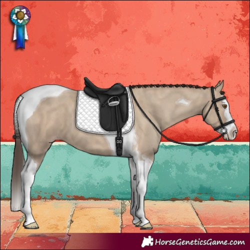 Horse Color:Classic Champagne Dun Splash Tobiano 
