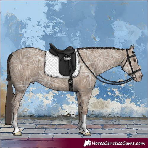 Horse Color:Classic Champagne Ice Tobiano 