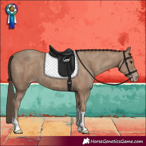 Horse Color:Classic Champagne Tobiano 