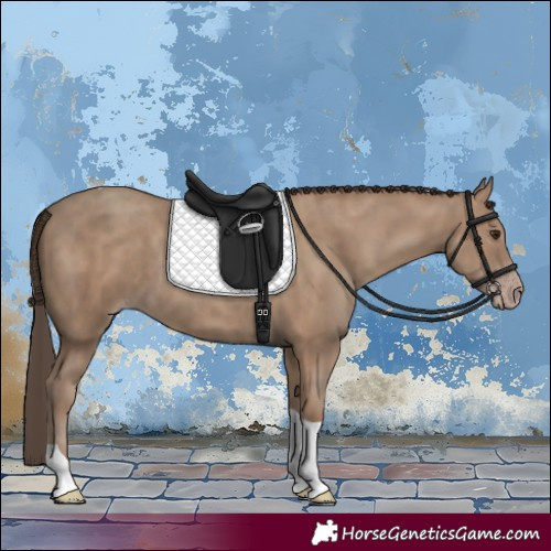 Horse Color:Classic Champagne Tobiano 