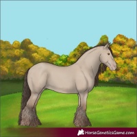 Horse Color:Classic Champagne Dun 