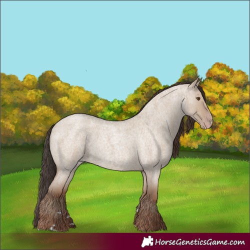 Horse Color:Classic Champagne Roan Dun 