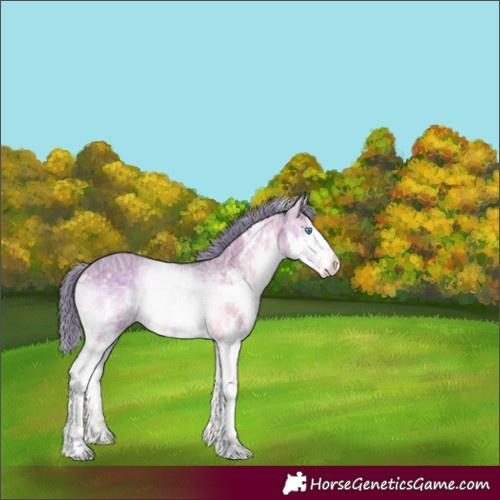 Horse Color:Watercolor White Spotted Chocolate Brown Ice Onyx Sabino Splash 