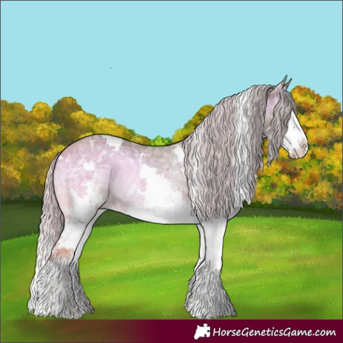 Horse Color:Watercolor White Spotted Chocolate Silver Blue Onyx Ice Sabino Splash 