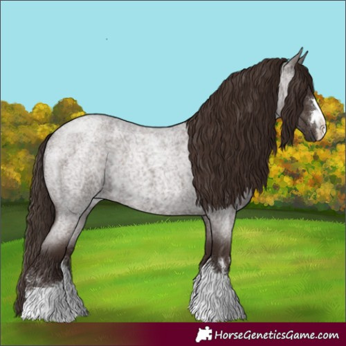 Horse Color:Liver Red Roan 