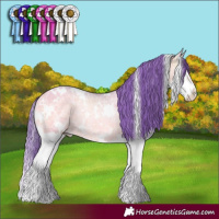 Horse Color:Watercolor White Spotted Sable Cream Champagne Ice Onyx Splash 