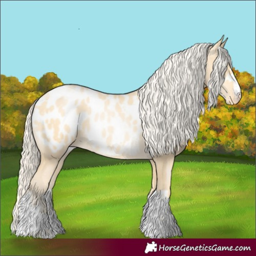 Horse Color:Palomino Pearl Appaloosa