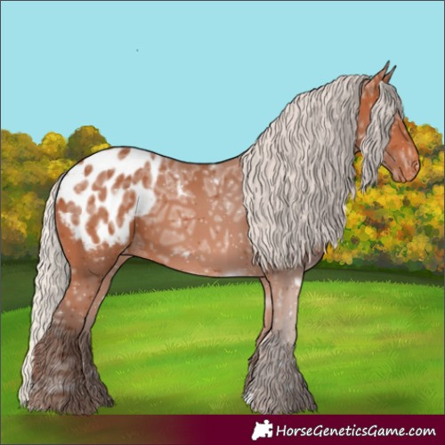 Horse Color:Silver Bay Ice Appaloosa 