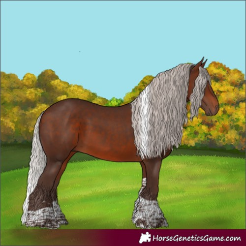 Horse Color:Silver Brown Tobiano