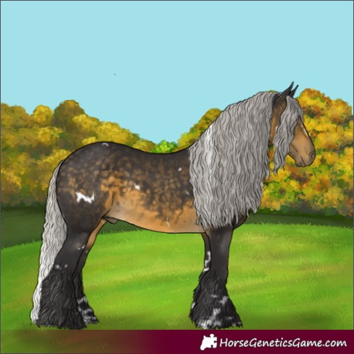 Horse Color:White Spotted Silver Buckskin 