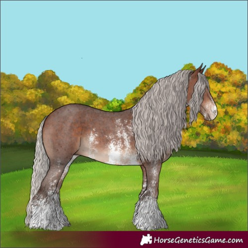 Horse Color:Silver Brown Sabino 
