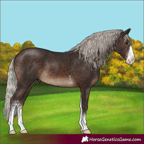 Horse Color:Silver Brown Sabino