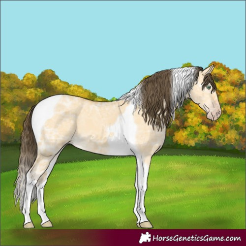 Horse Color:Amber Cream Champagne Ice Dun Tobiano 