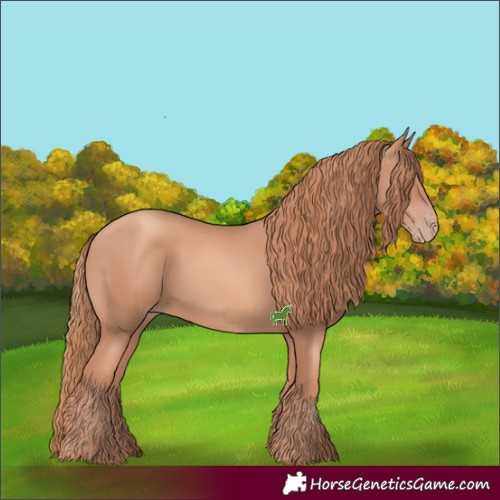 Horse Color:Gold Champagne 