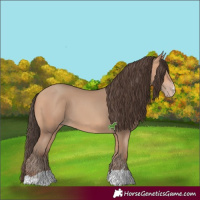 Horse Color:Amber Champagne 