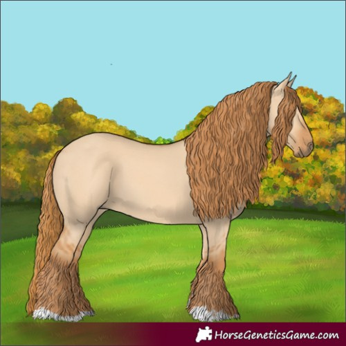 Horse Color:Red Dun 