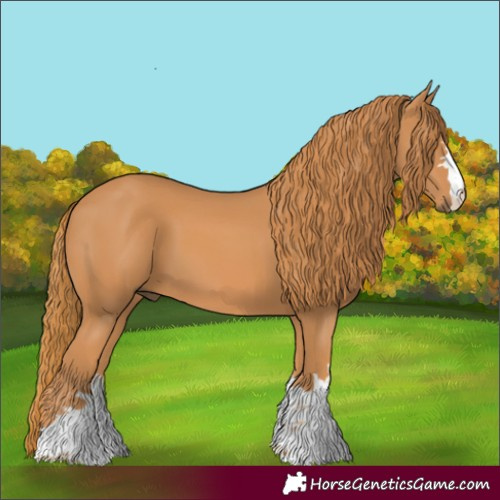 Horse Color:White Spotted Chestnut