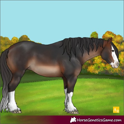 Horse Color:Brown Splash