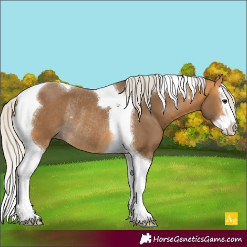 Horse Color:Silver Buckskin Splash Tobiano Rabicano 