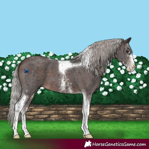 Horse Color:Silver Brown Sabino Tobiano 