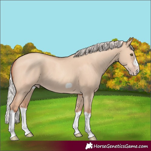 Horse Color:Silver Classic Champagne Dun Splash Frame 
