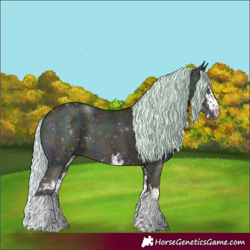 Horse Color:Watercolor White Spotted Midnight Silver Classic Champagne Ice Onyx 