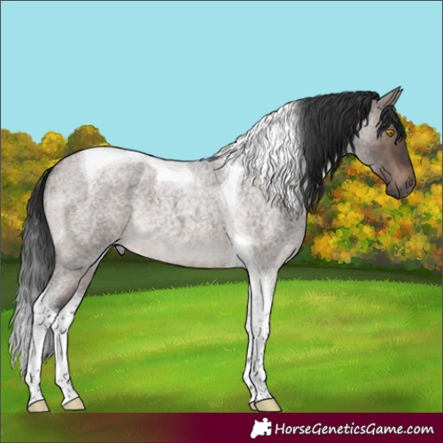 Horse Color:Brown Roan Dun Mushroom Tobiano Brindle 